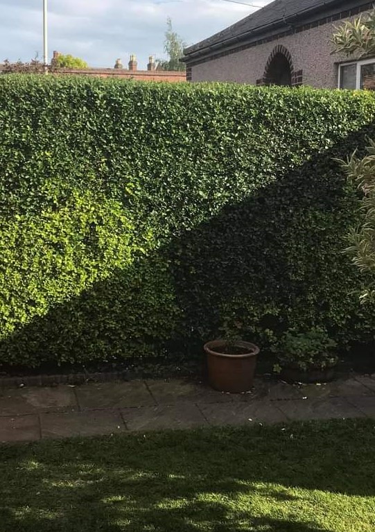 Gardener: Image 4